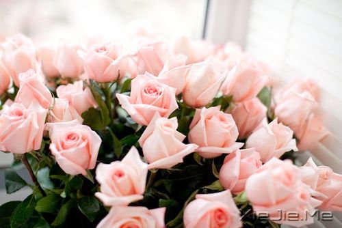�簲�����ֻ��Ц�ĺܻ������˲Ų��ᱻ���� (5)