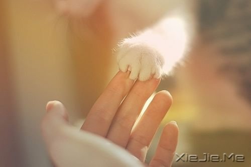�簲��������Լ��ȶ������ˣ�����Ҫ (5)