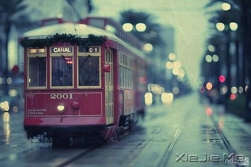 英文心语:无需等待,没有比当下更好的时间 (10)
